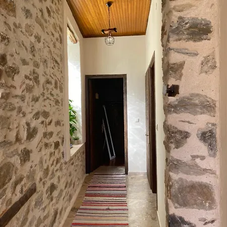1924 3 *